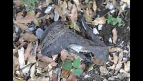 Encarcelan a policías que robaron pertenencias de Jenni Rivera