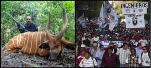 Calderón habría gastado hasta 233 mdp en litigio con SME