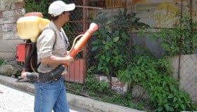 Virus del Zika podría extenderse a toda América Latina: OMS