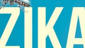 Y... ¿qué es el Zika? (Nota, video y gráfico)