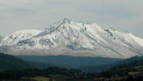 ¡Albricias!: se recuperan 8 mil hectáreas de bosque del Parque Nevado de Toluca