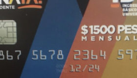 No usamos padrón del INE para tarjetas, compramos datos a empresa de mensajería: PAN