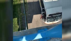 Perecen 3 hombres en enfrentamiento en Celaya; muere también un estudiante, por bala perdida