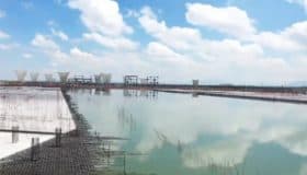 'Miren de lo que nos salvamos': AMLO muestra video de terreno de Texcoco inundado | Entérate