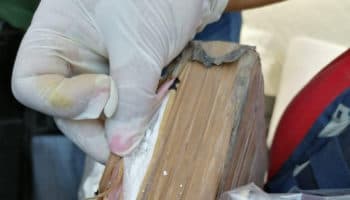 Desmantelan narcolaboratorio en Cuautla