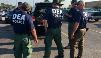 Así será regulada la actividad de agentes extranjeros en México