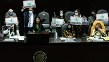 Aristegui en Vivo: avalan uso lúdico de la mariguana; filtran sondeo donde gana Félix; los Beltrones en Andorra y más