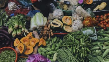 Día Mundial del Medio Ambiente: Alimentación a base de vegetales, clave para mitigar la degradación del planeta