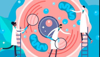 10 de Noviembre: Día Mundial de la Ciencia para la Paz y el Desarrollo| Video