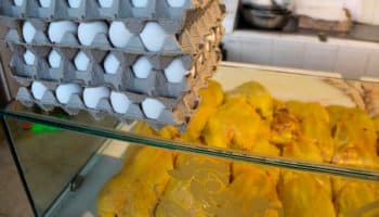 Justifica AMLO aranceles a maíz | Entérate