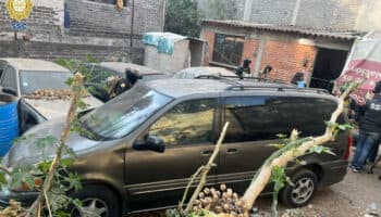 Hallan 10 autos robados y 4 toneladas de autopartes en casa de Coyoacán | Video