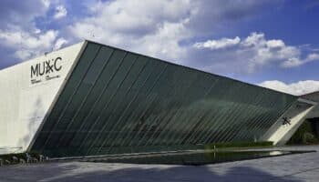 “El MUAC es el museo de arte contemporáneo más importante del país”: Amanda de la Garza, su directora