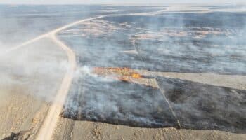 Texas se enfrenta al mayor incendio de su historia