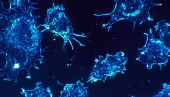 Identifican aditivo que promueve potente inmunidad frente al cáncer