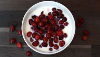 ¿Qué es el arándano y para qué sirve?