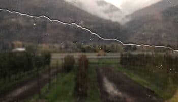 El arte de Jorge Macchi llega a la MUAC