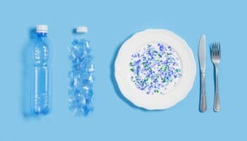La exposición a microplásticos se asocia a una mayor prevalencia de enfermedades crónicas