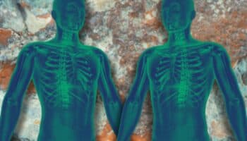 Metales pesados, un mal que afecta a hasta 1,400 millones de personas