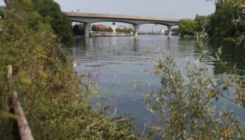 Encuentran un nuevo cadáver en el Río Sena