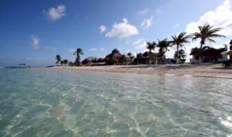 Semarnat vs Royal Caribbean: DMAS exige negar proyecto en Mahahual