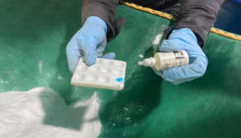 Rahul Gupta, el zar antidrogas de la Casa Blanca: Esquivel | Video