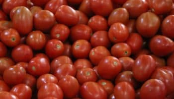 Estados Unidos anuncia arancel de 17% a tomates mexicanos
