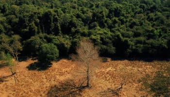 Hay disonancia entre empresas y gobiernos en percepción del calentamiento global: WEF | Entérate