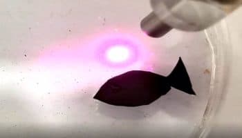 Este diminuto robot con forma de pez 'nada' recogiendo microplásticos