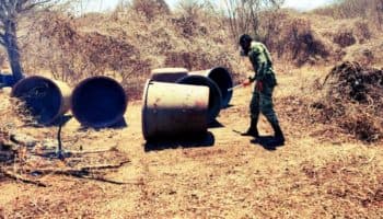 Desarticulan laboratorio clandestino y decomisan casi 5 toneladas de metanfetamina en Sinaloa