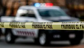 Ya identificaron a los 11 cuerpos hallados en Chilpancingo: Castillo | Video