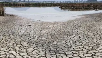 El Niño se debilita pero mantendrá altas las temperaturas: Organización Meteorológica Mundial