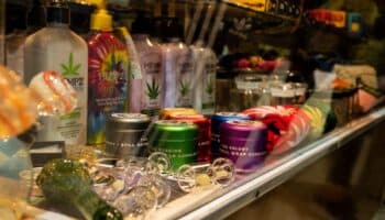 Cofepris investiga 65 permisos irregulares para cannabis