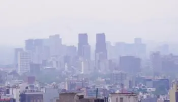 Audiencias sobre reforma ambiental son insuficientes: CeIBA