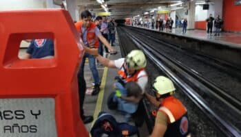 CDMX: Rescate de gallina en vías detiene la Línea 9 del Metro