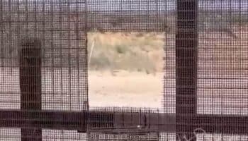 Así son los 'parches removibles 'del muro fronterizo por los que cruzan migrantes | Video