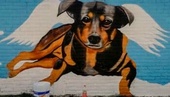 Dedican mural a 'Scooby', perrito arrojado a cazo de aceite hirviendo