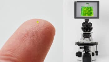 63 mil dólares por un bolso microscópico imitación Louis Vuitton