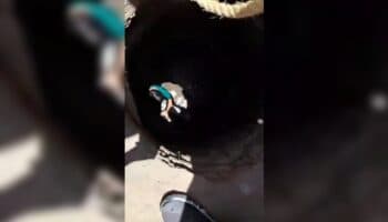 Niño cae a coladera destapada en Puebla y lo rescatan | Video