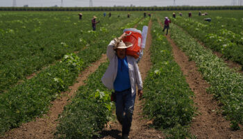 Ola de calor azota EU; advierten temperaturas 'peligrosas'