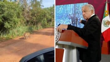 AMLO trata de desmentir afectaciones de Tren Maya con video grabado en Brasil