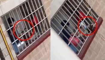Imágenes fuertes | Captan a joven golpeando a gatito en CDMX; Fundación Toby lo rescata