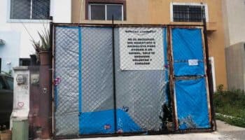 Encuentran 23 perros muertos en supuesto refugio animal de Cancún