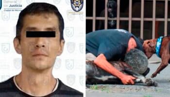 Vinculan a proceso al presunto asesino del perrito Zeus
