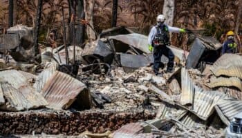 Dimite el responsable de emergencias de Maui, Hawái, tras criticas por incendios