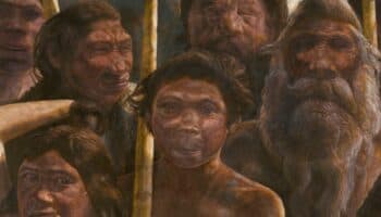La humanidad estuvo al borde de la extinción en el Pleistoceno: Estudio