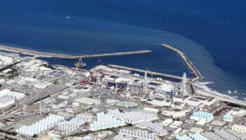 China suspende importación de pescado japonés ante riesgo radioactivo