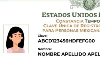 ¿Habrá nueva CURP obligatoria?