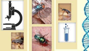 'Es urgente generar información de biología forense que se adapte a nuestro país': Santiago Vergara