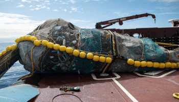 Así se ve la extracción de 11 mil 353 kg de basura del océano | Video
