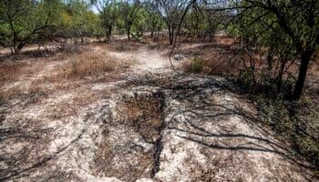 NL: Fiscalía inicia búsqueda de desaparecidos en predio de Escobedo